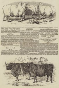 Il Club di Smithfield da Harrison William Weir